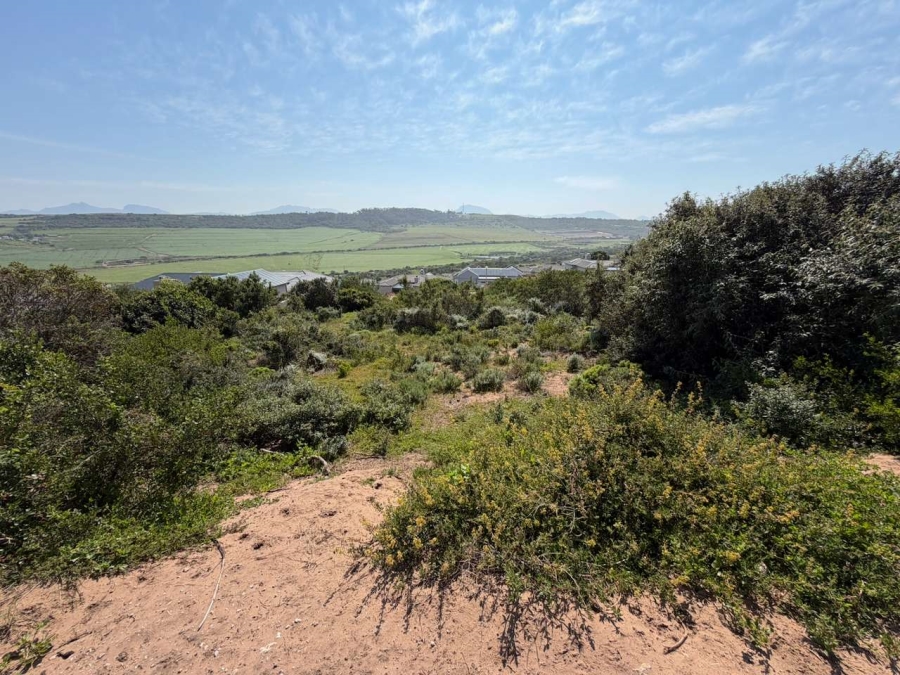0 Bedroom Property for Sale in Reebok Western Cape